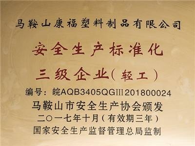 2017年度榮獲（huò）安（ān）全生產標（biāo）準化三級（jí）企業（輕工）