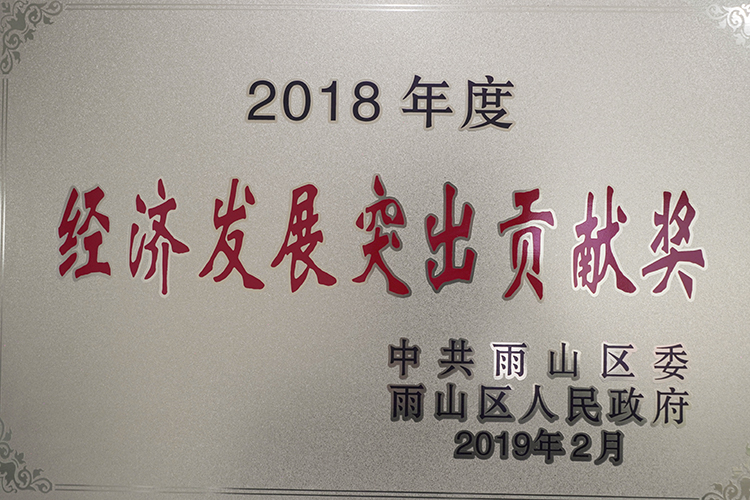 2018年度榮獲經濟（jì）發展突出（chū）貢獻獎